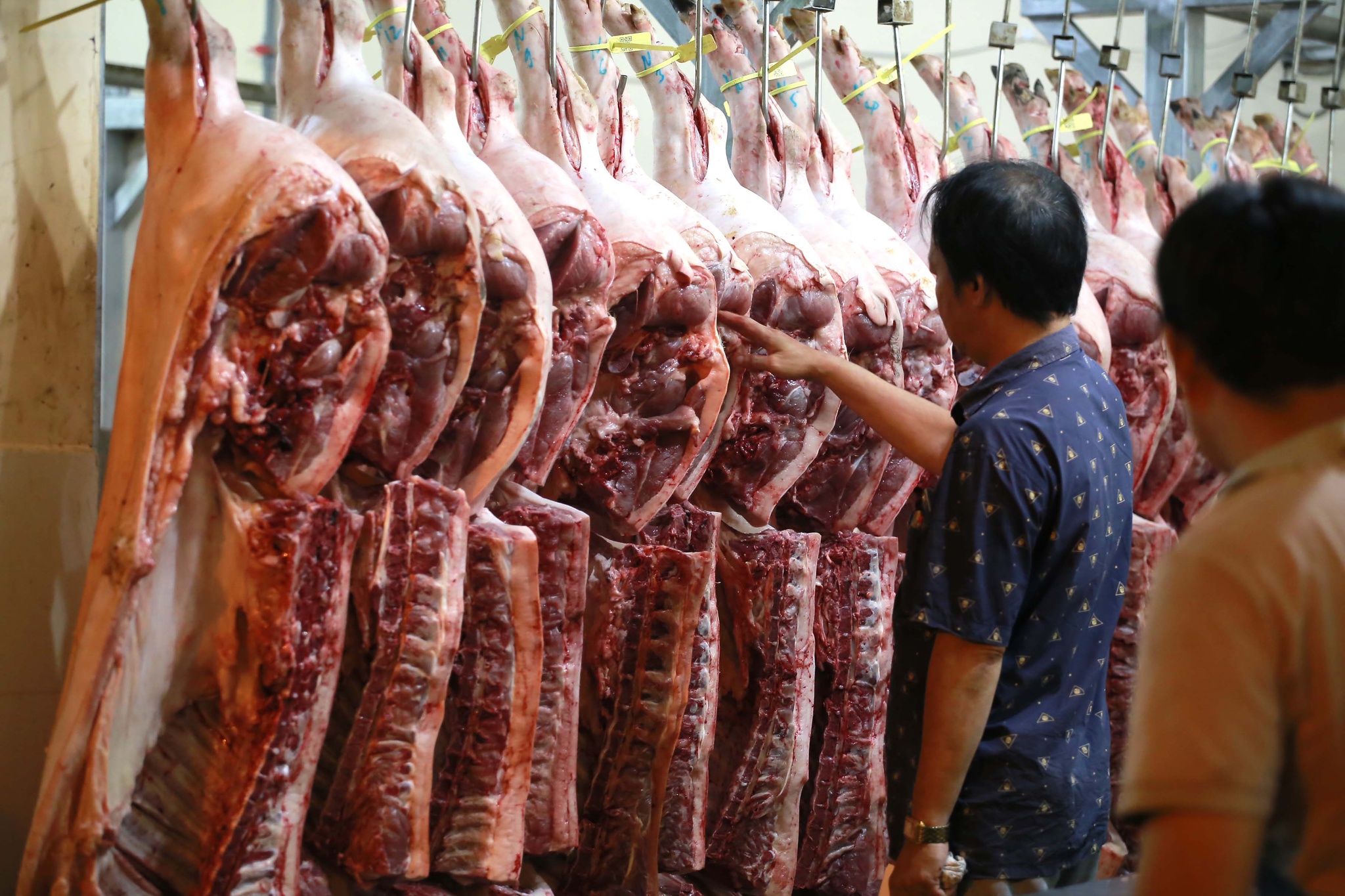 Giá thịt heo mảnh giao tại lò mổ đang tăng vọt vì nhiều lý do