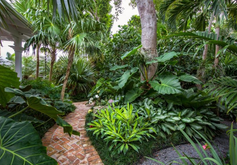 Những lưu ý khi thiết kế sân vườn nhiệt đới