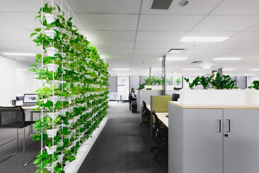 Sử dụng tùy tiện cây xanh khi trang trí văn phòng